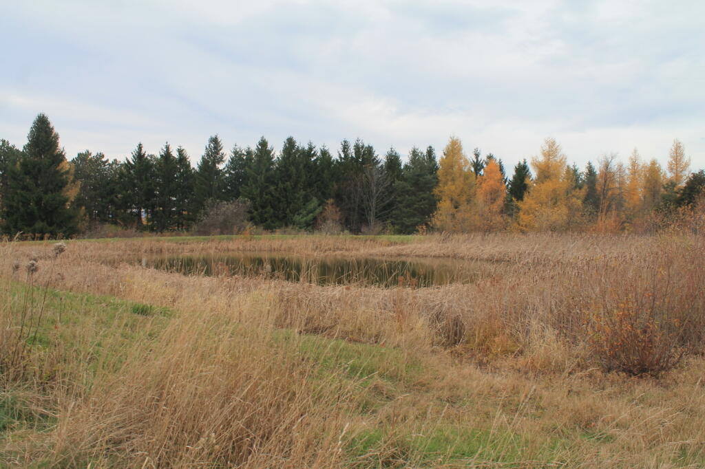Photo: Bare Hill Pond