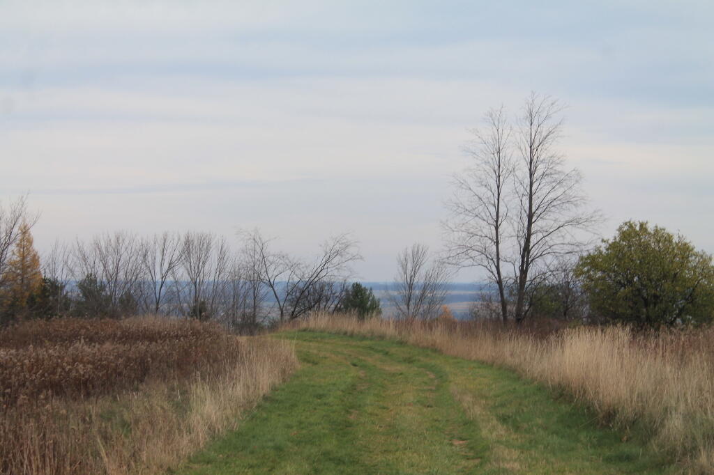Photo: Trail