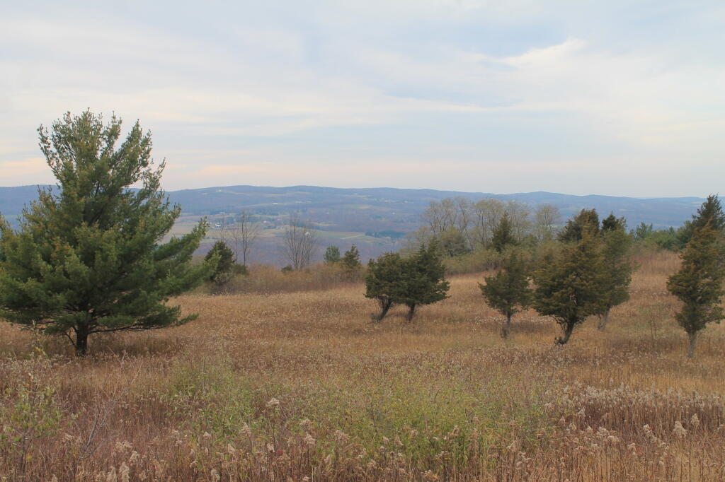 Photo: Across Bare Hill