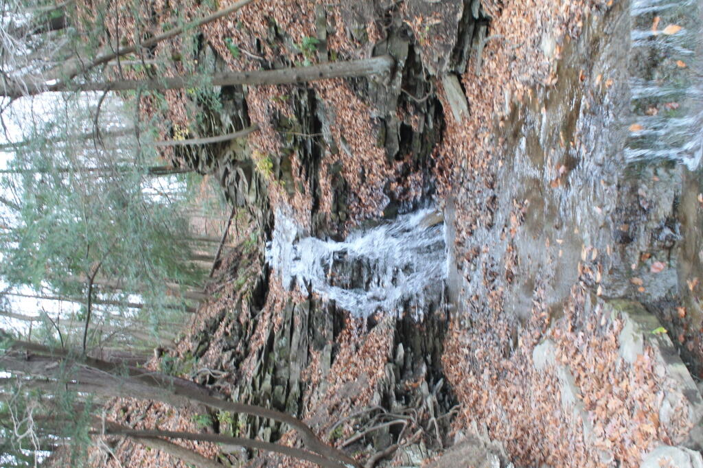 Photo: Waterfalls