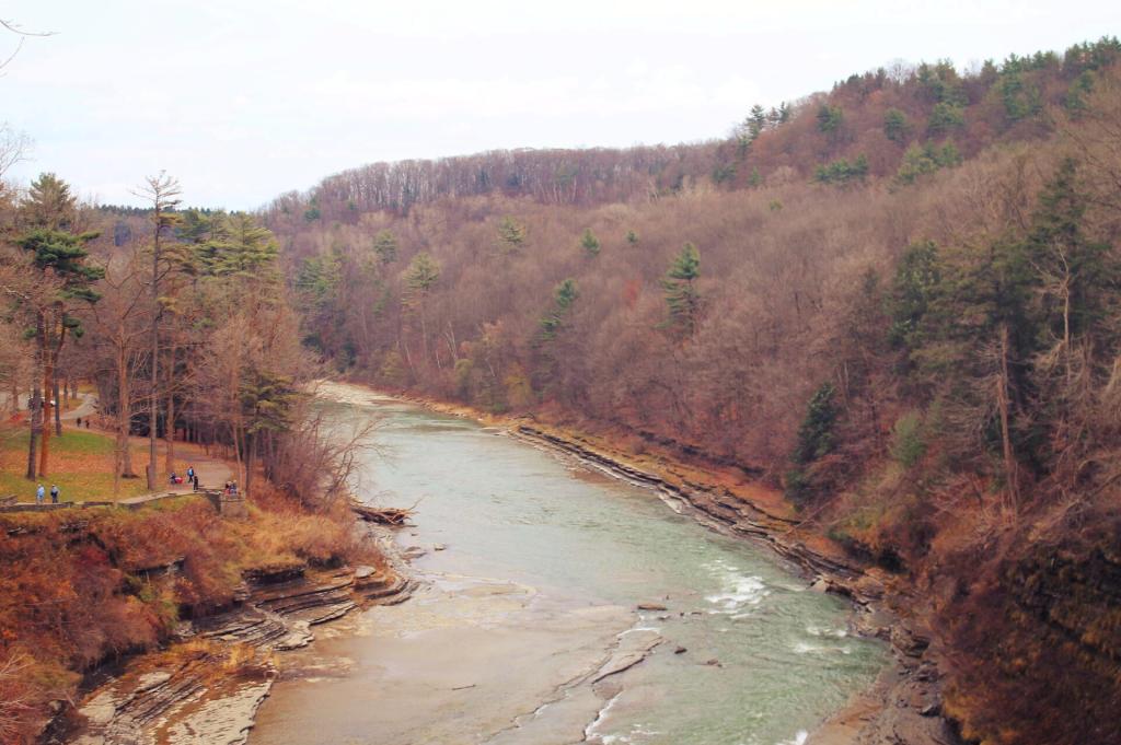 Photo: Genesee River