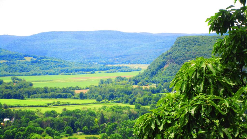 Photo: Schoharie Valey