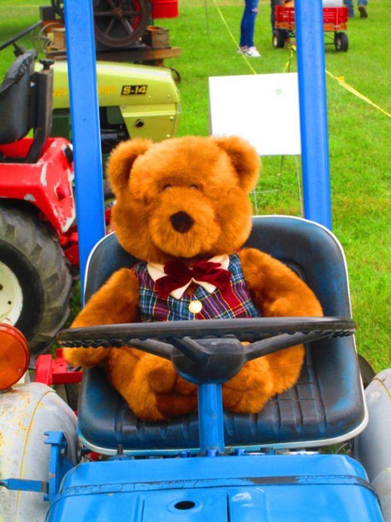 Photo: In the Driver's Seat