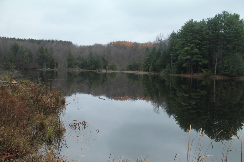 Photo: Reflect
