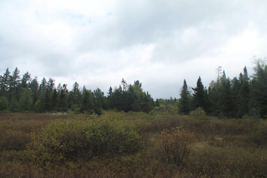 Photo: No Rain, But Clouds Continue to Hang Low