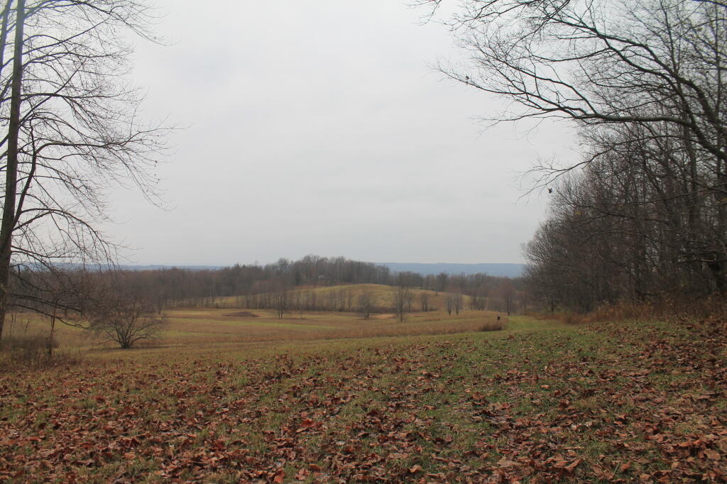 Photo: Fields on Edge of Zoar Valley