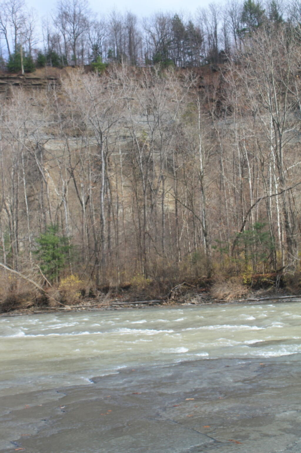Photo: Cattaraugus River