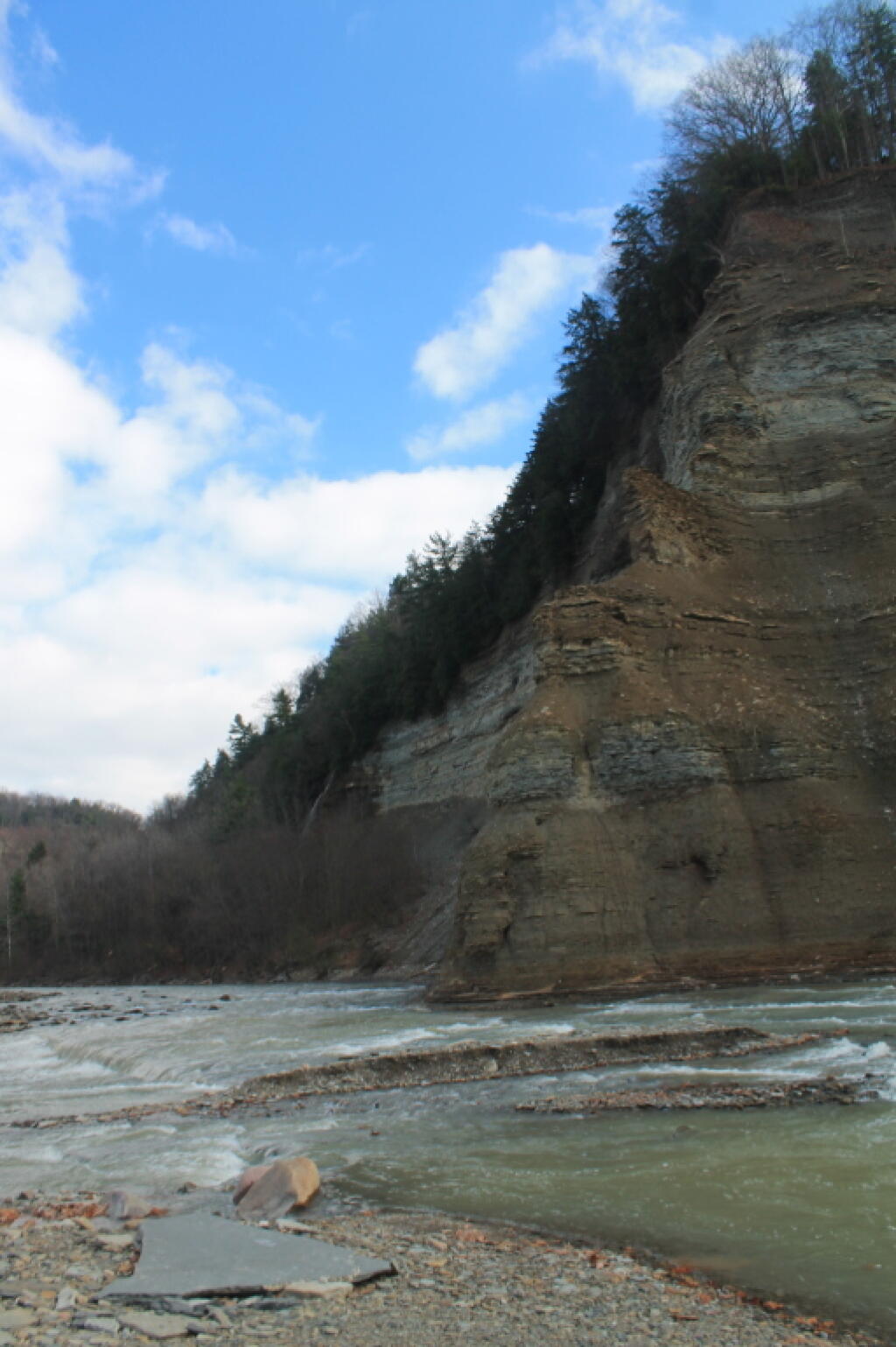 Photo: Nose Between South Branch and Main Branch of Cattaragus River