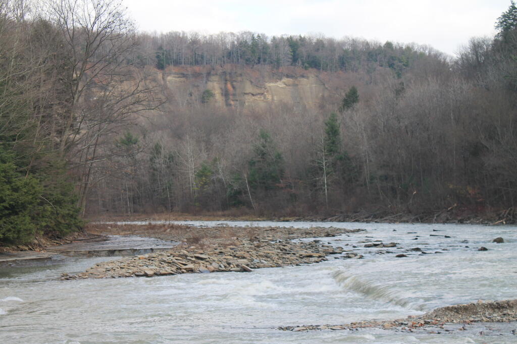 Photo: Main Branch of Cattaragus River