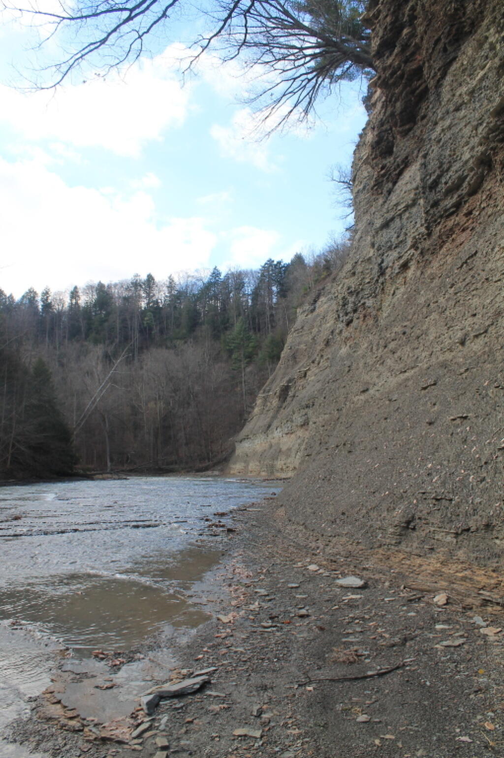 Photo: South Branch Gorge Wall Photo: South Branch Gorge Wall