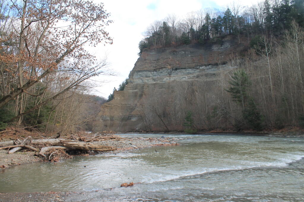 Photo: South Branch as It Enters the Main Branch