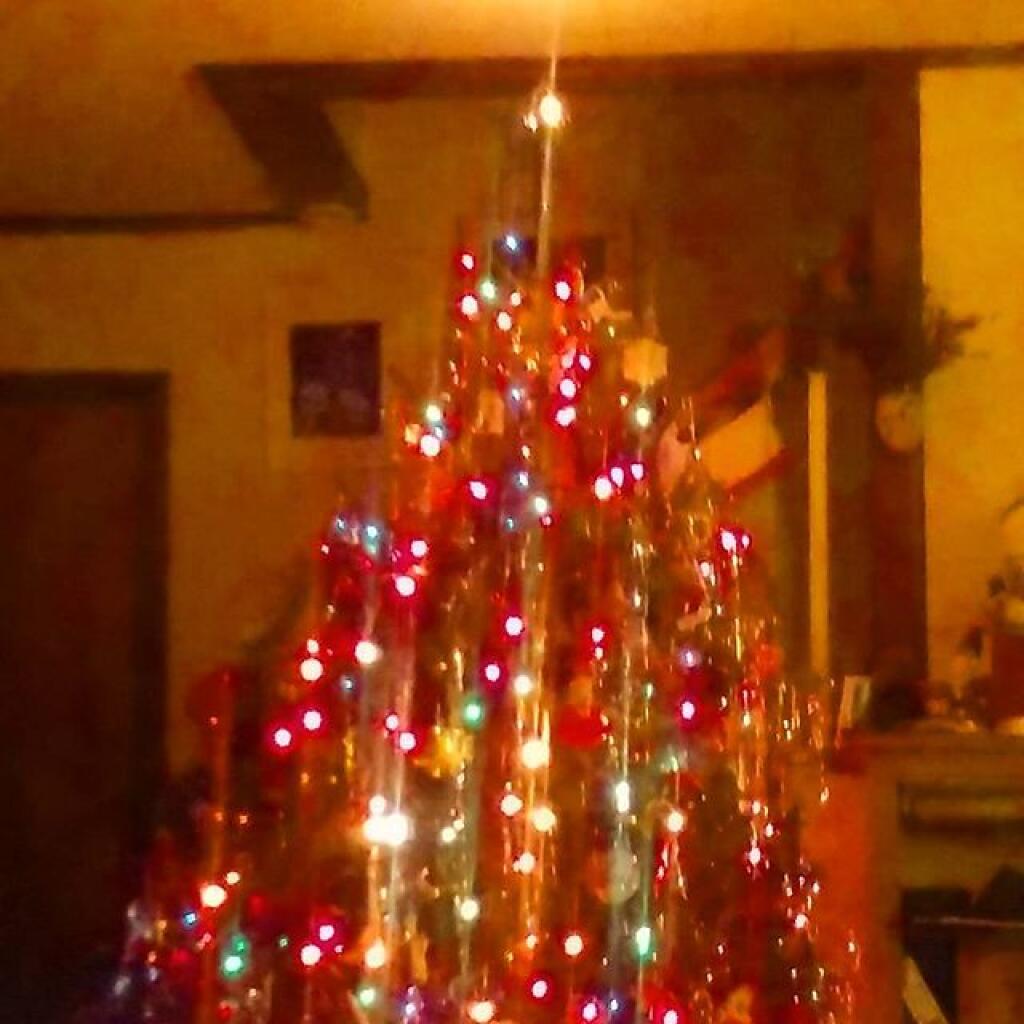 Photo: Tree