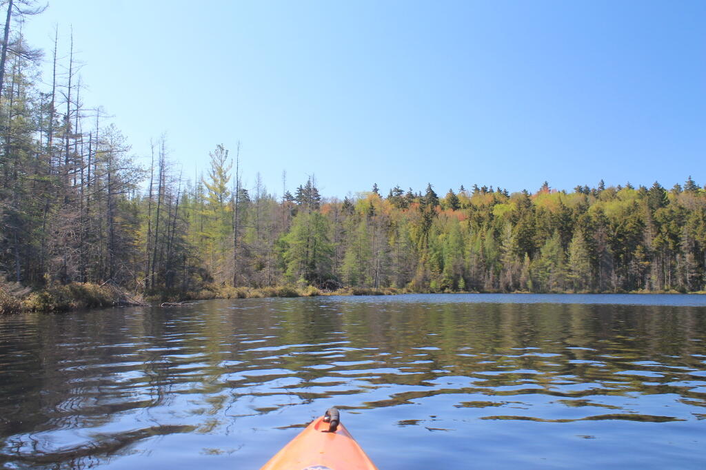 Photo: Paddling Around Helldiver Pond
