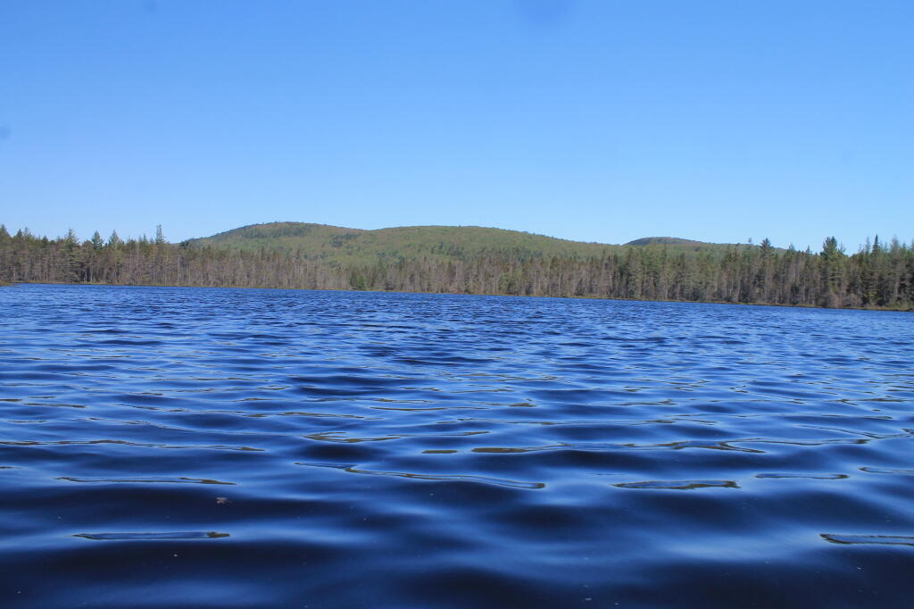 Photo: Mitchells Pond Mountain from Helldiver Pond