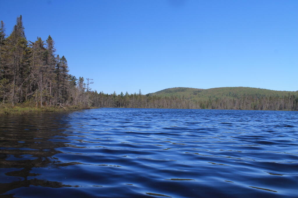 Photo: Photo.2013.05.27 10.49.35