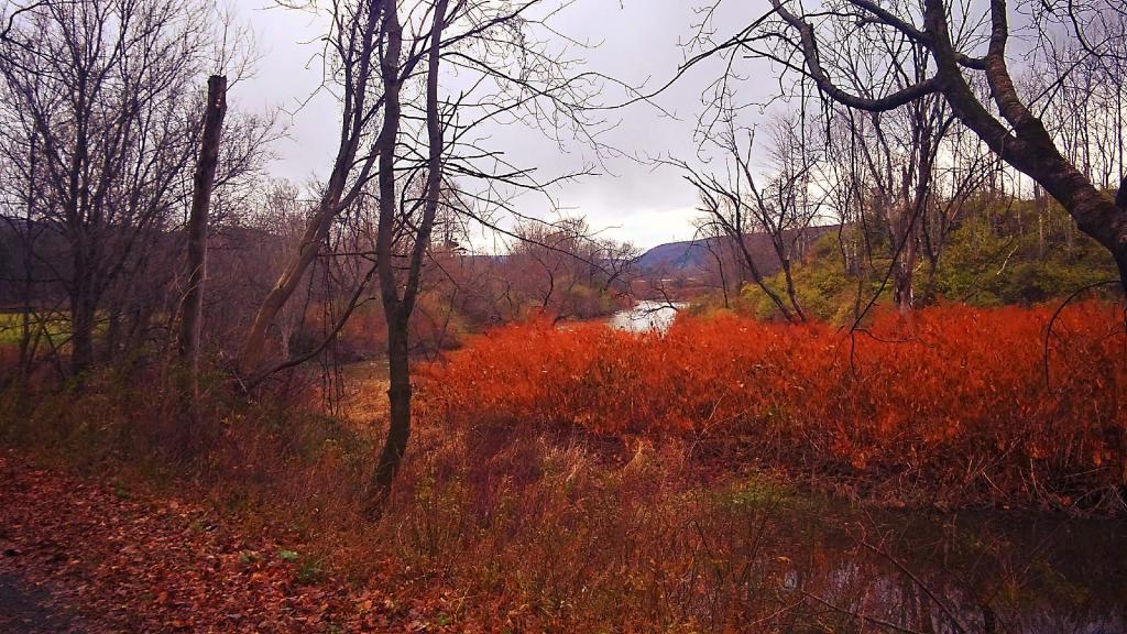 Photo: Schenvus Creek