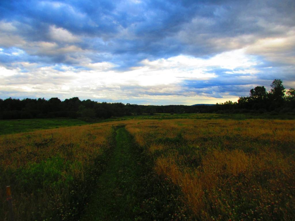 Photo: Dramatic Skies