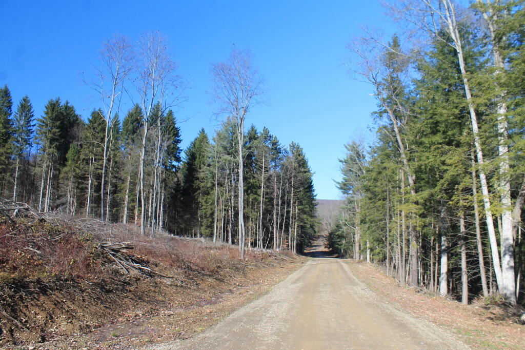 Photo: Hungry Hollow Road