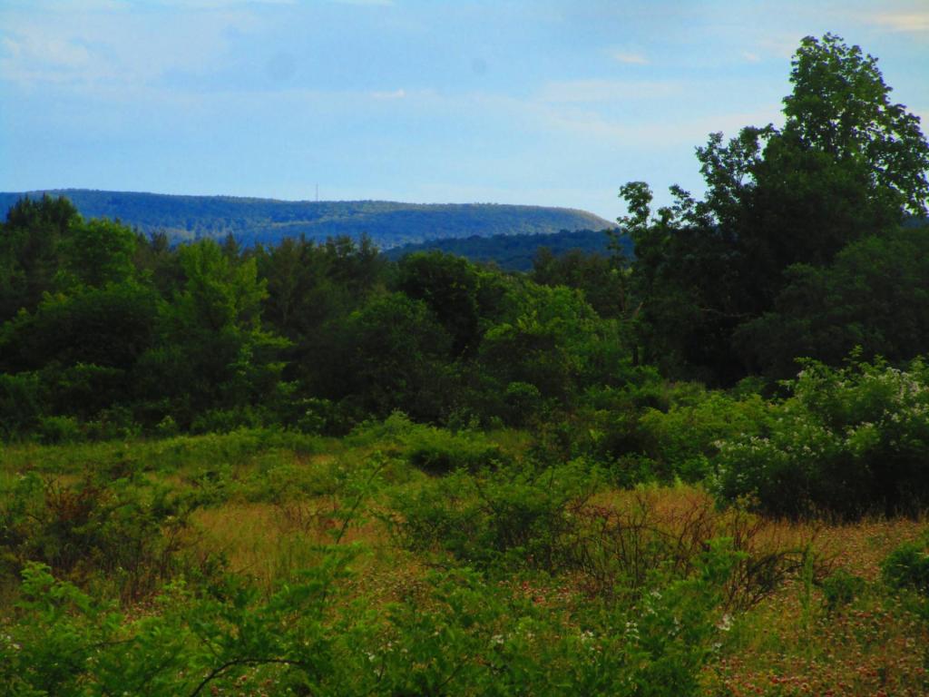 Photo: Hills