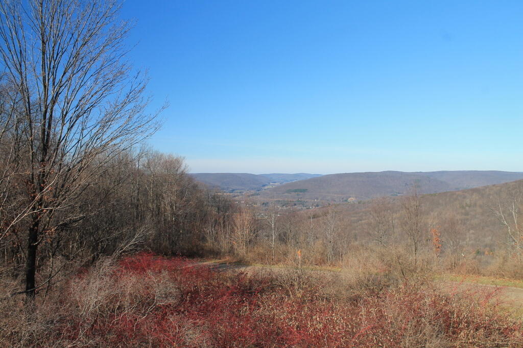 Photo: View from Stone Observation Tower