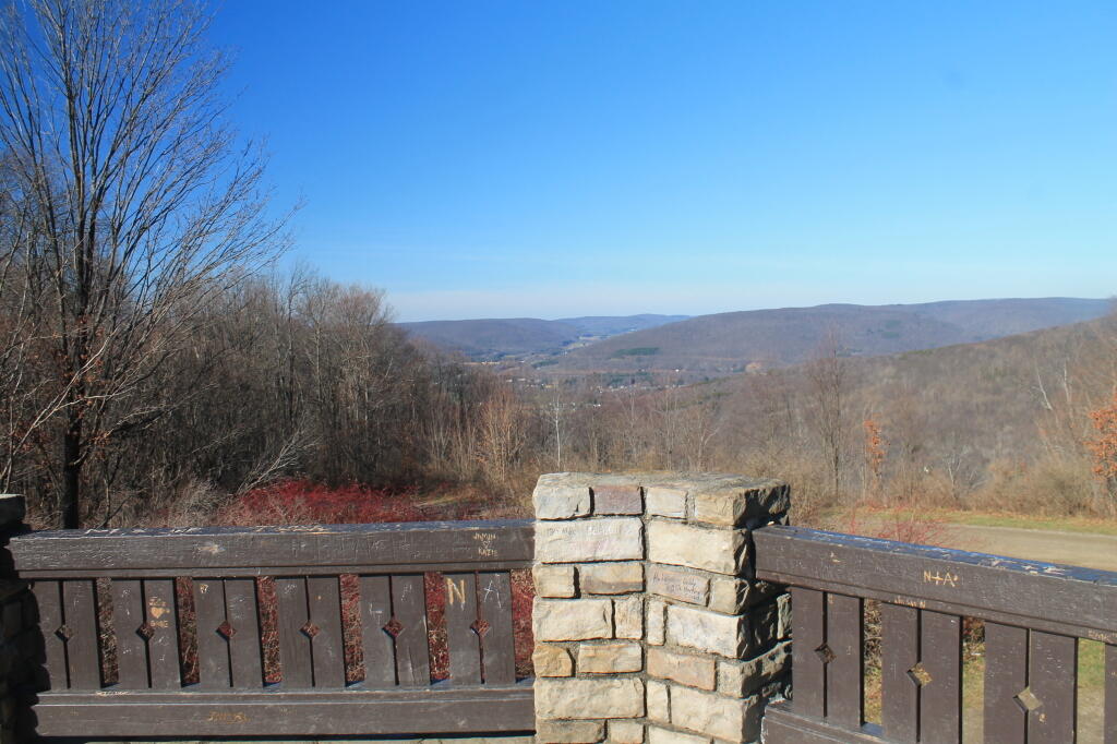 Photo: North Off the Observation Tower