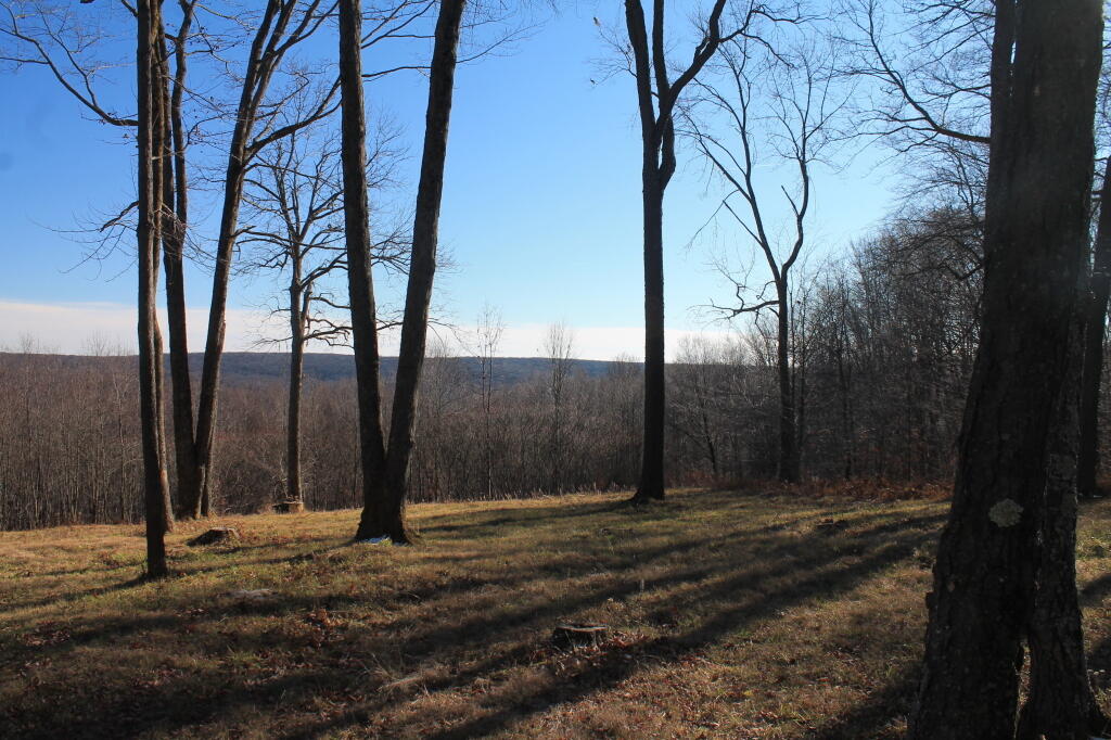 Photo: View Off ASP 3