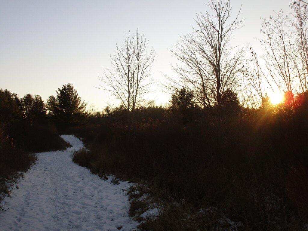 Photo: Cold Afternoon