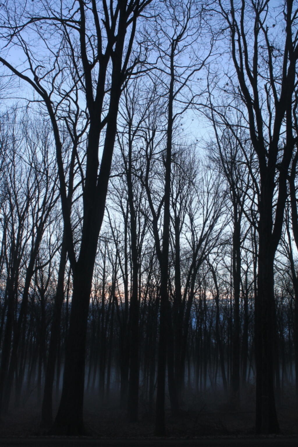 Photo: Before Dawn