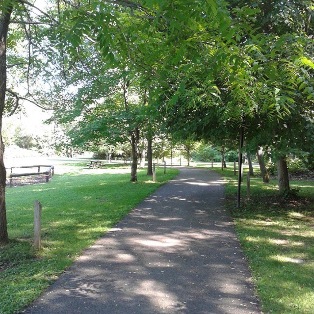 Photo: Walkway of different native trees