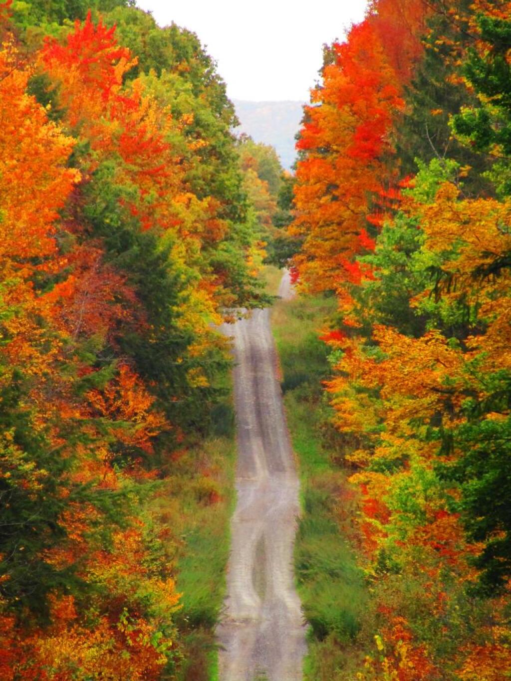 Photo: Burnt Hill Road