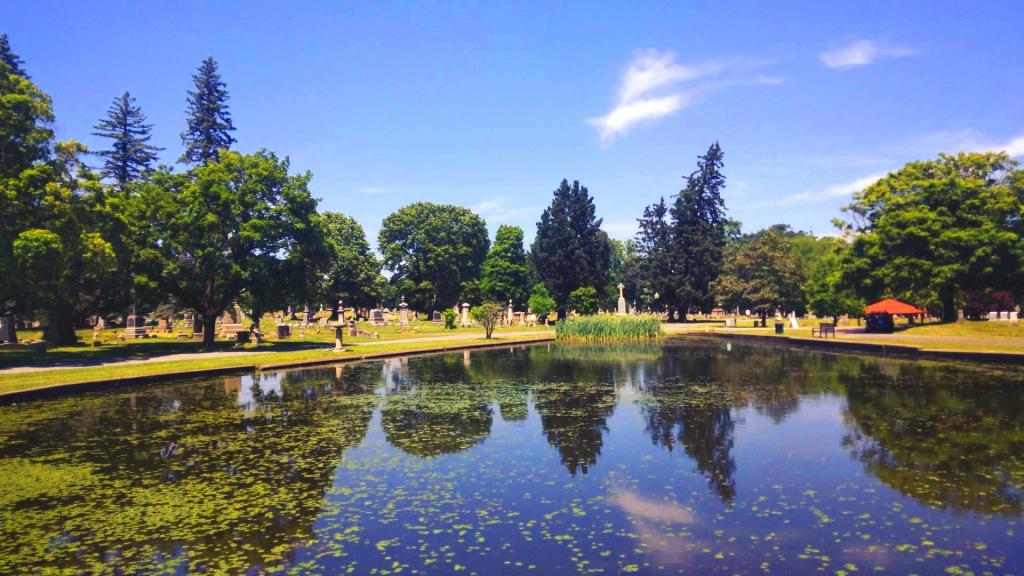 Photo: Pond