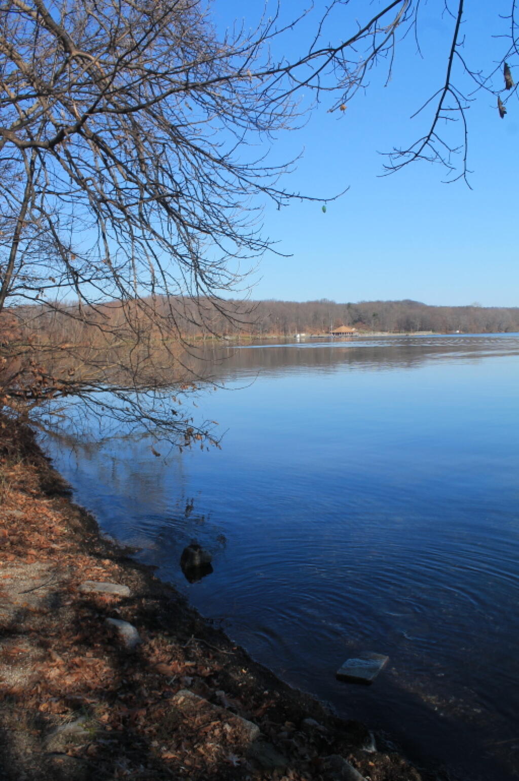 Photo: Northern side of Point
