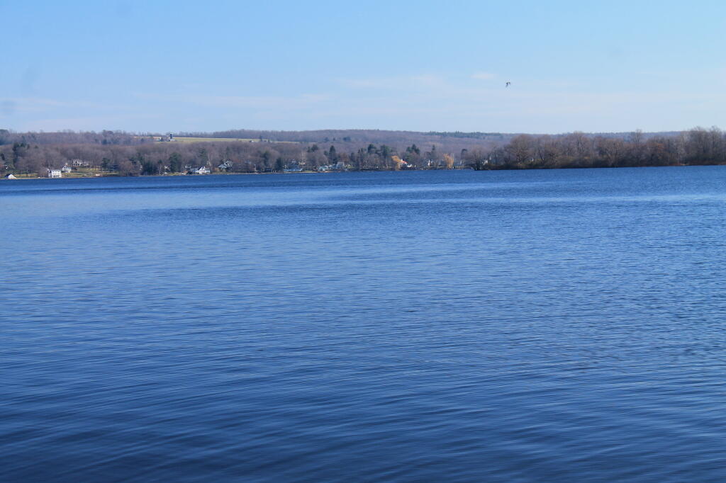 Photo: Untitled
