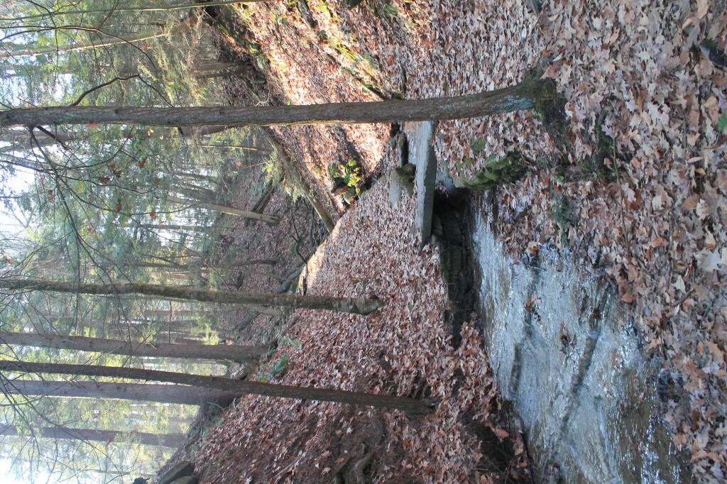 Photo: Brook