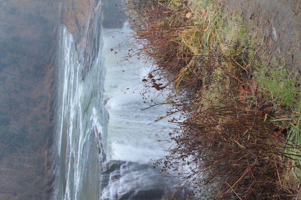 Photo: Falling