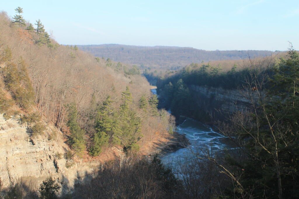 Photo: View from Parade Grounds Road