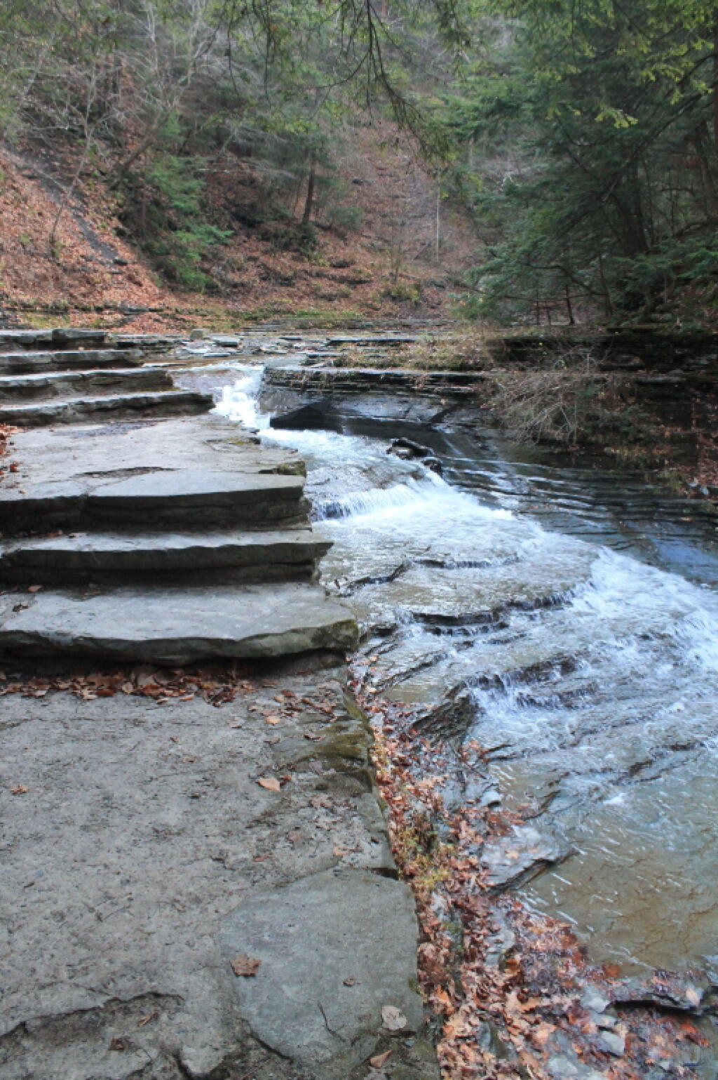 Photo: Falling Water