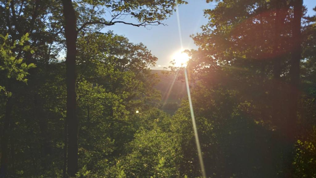 Photo: Setting sun