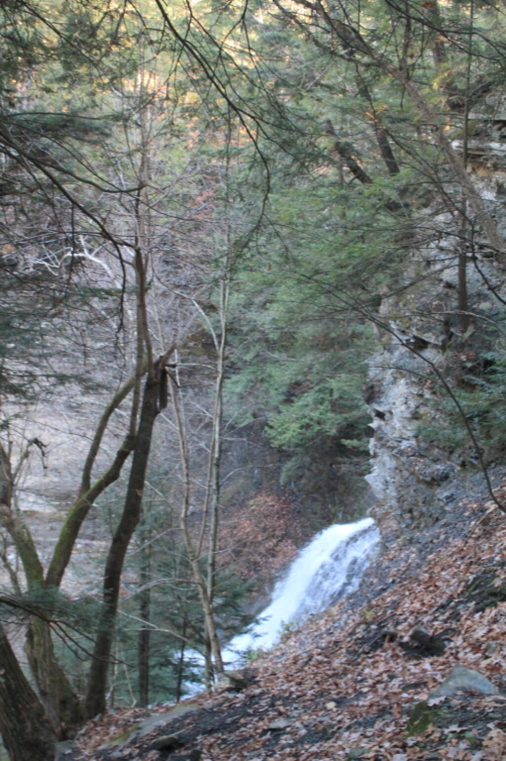 Photo: Upper Falls from the Trail