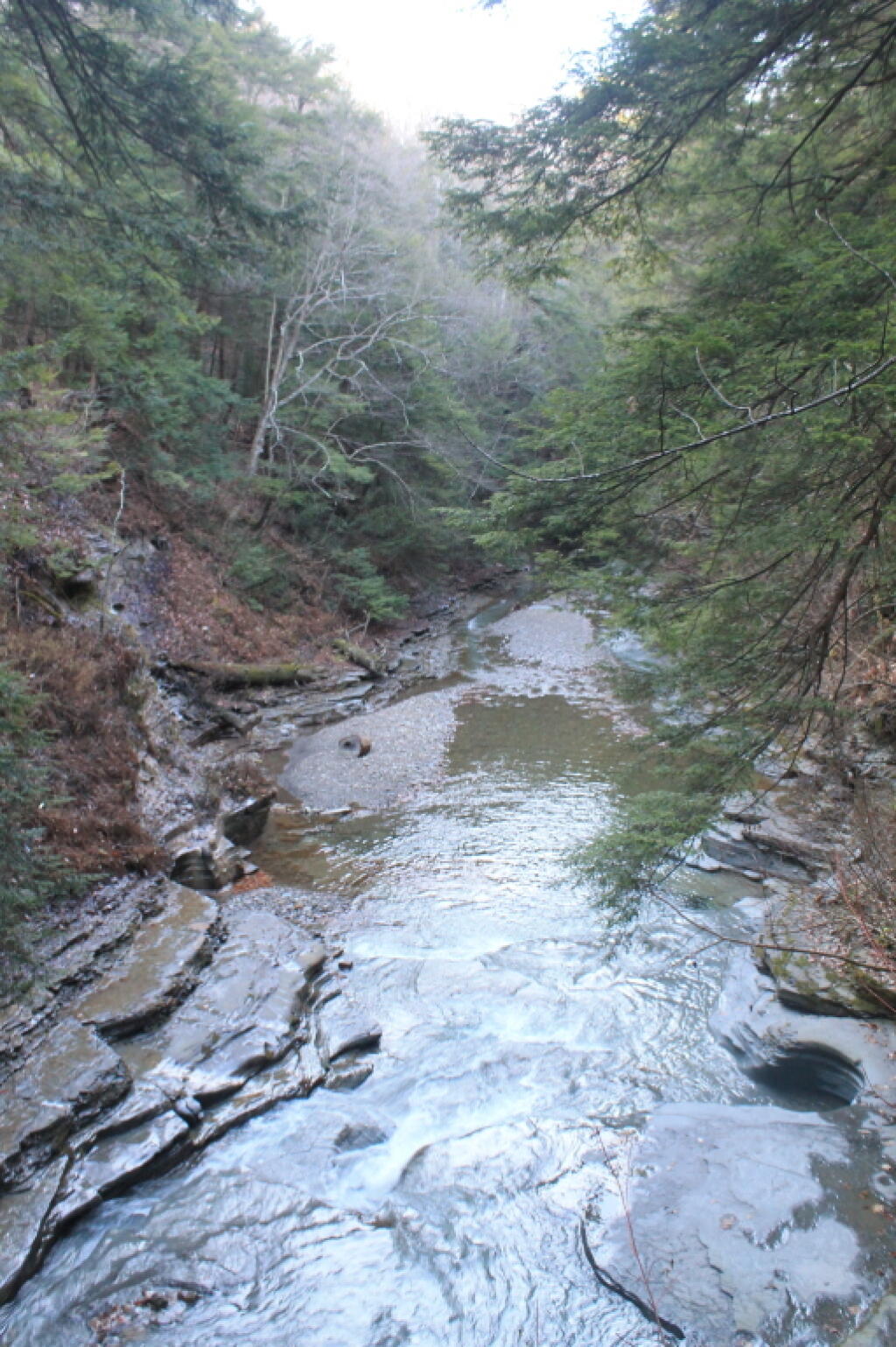 Photo: Gorge