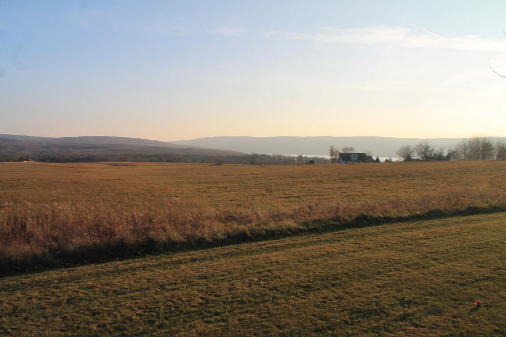 Photo: Field