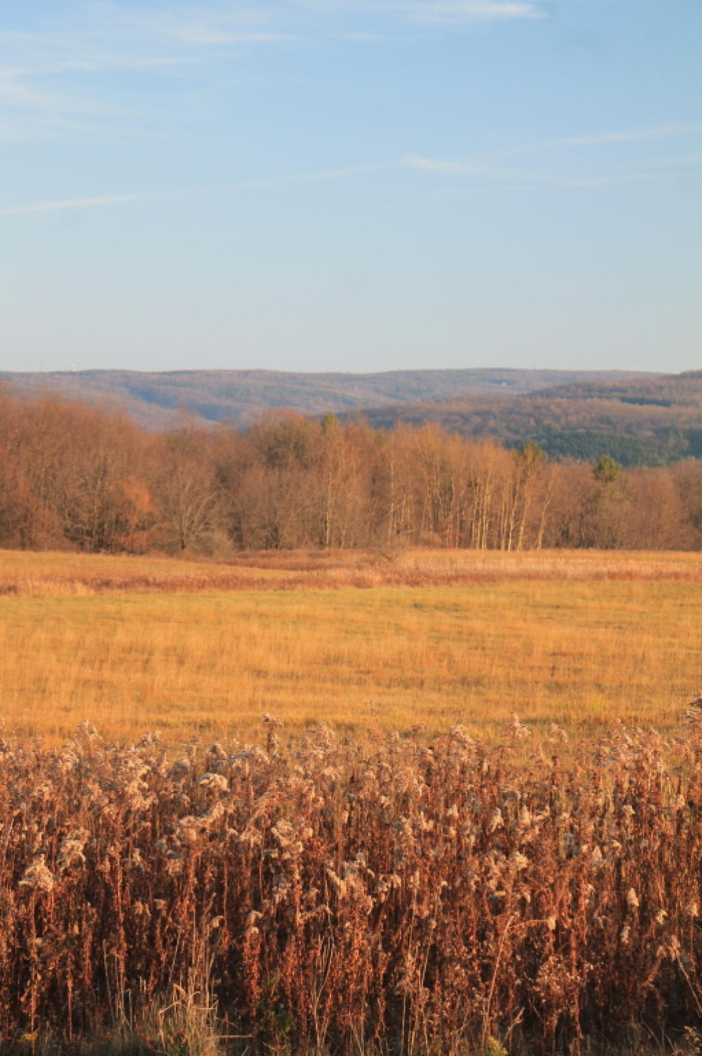 Photo: Hills outside Honeoye