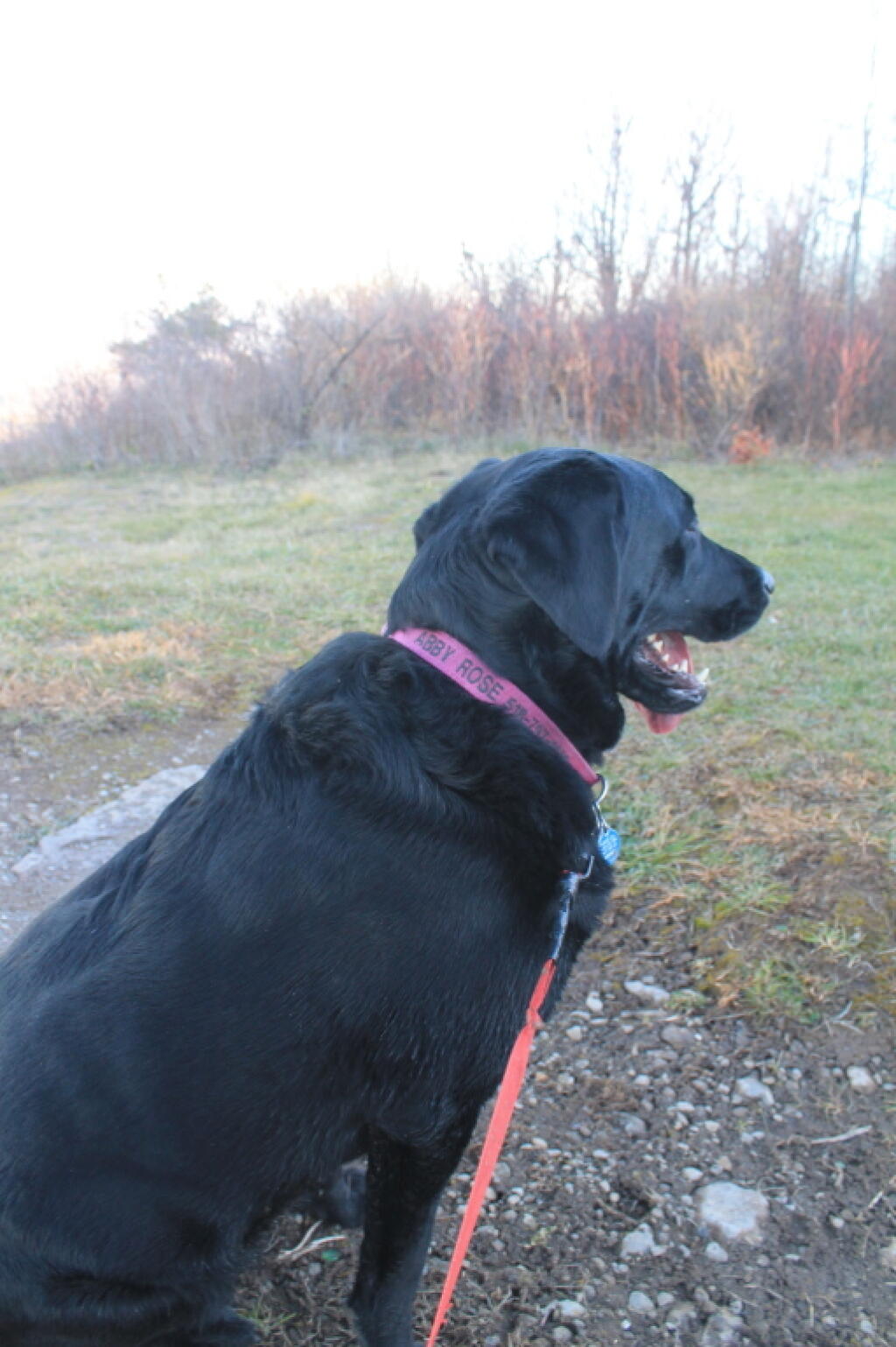 Photo: Abbie at Hang Gliders Overlook