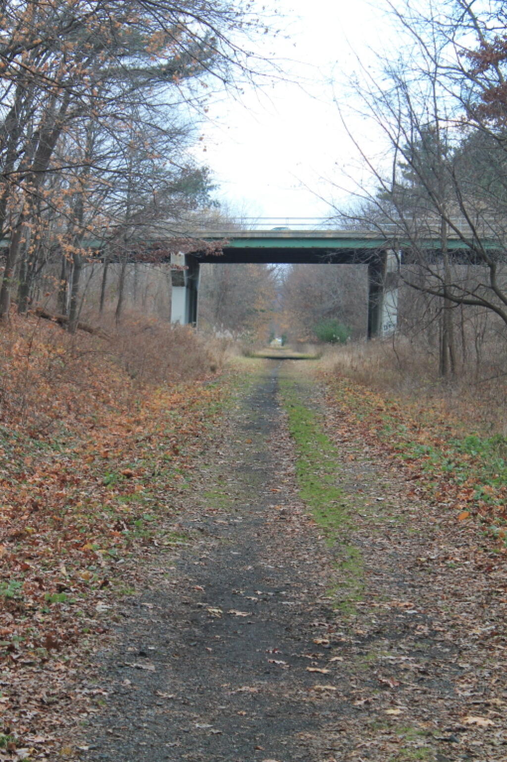 Photo: Albany County Rail Trail