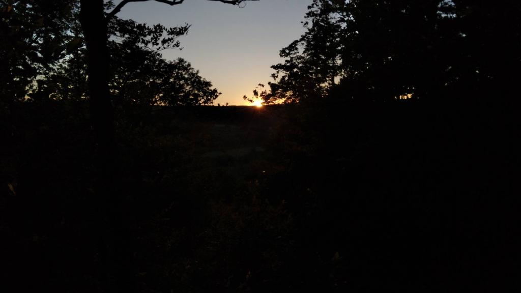 Photo: Untitled