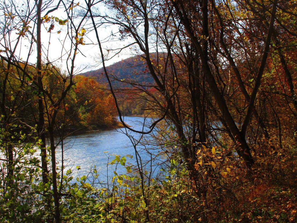 Photo: Potamac River