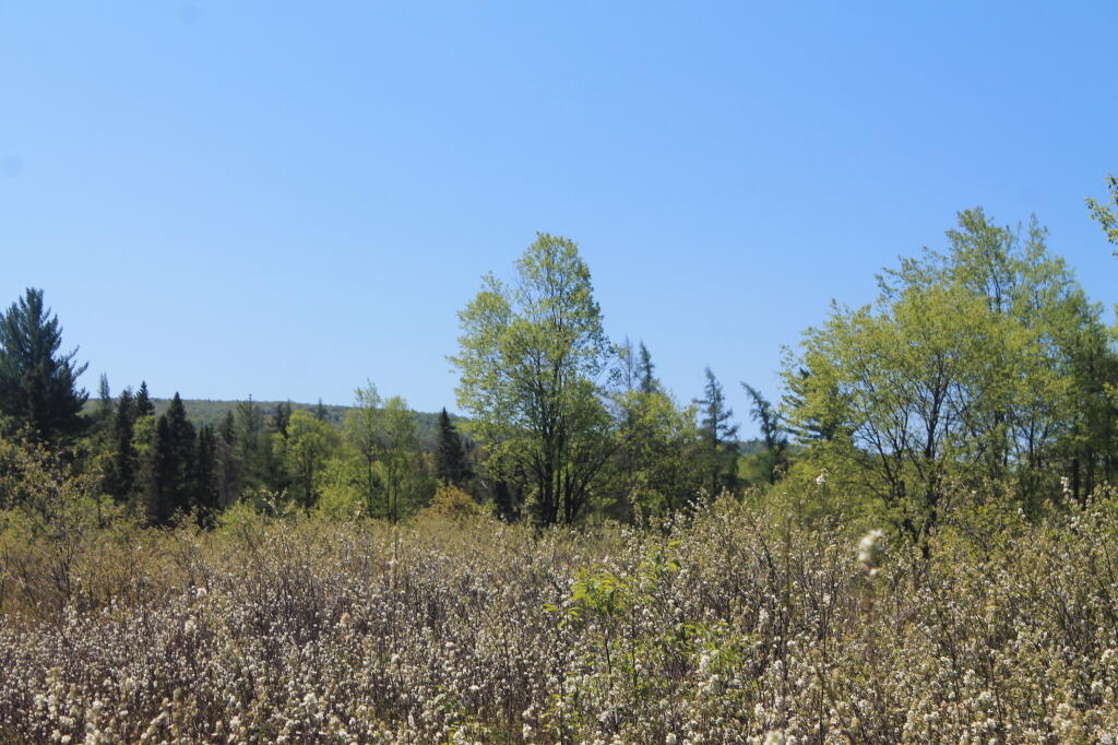 Photo: Photo.2013.05.27 12.27.12