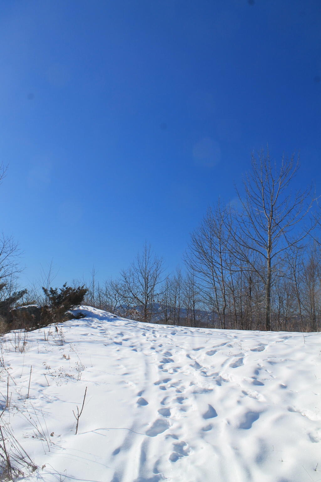 Photo: Snow at Base of Tower