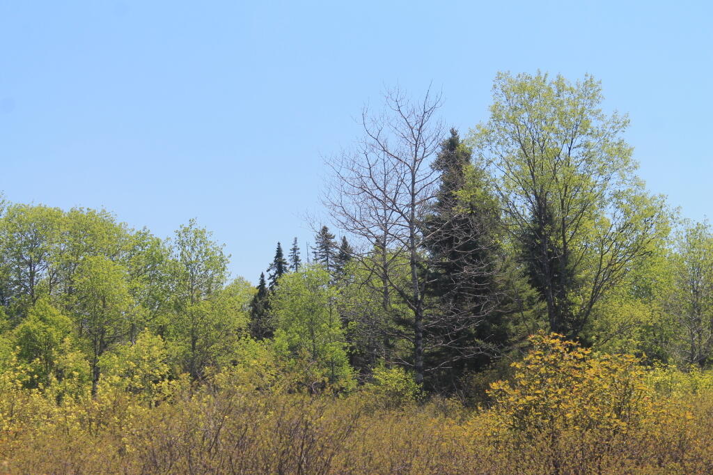 Photo: Photo.2013.05.27 12.30.35