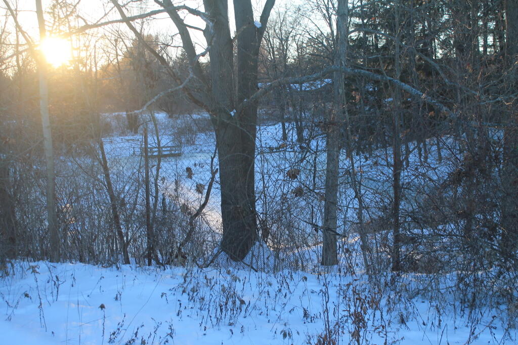 Photo: Pond